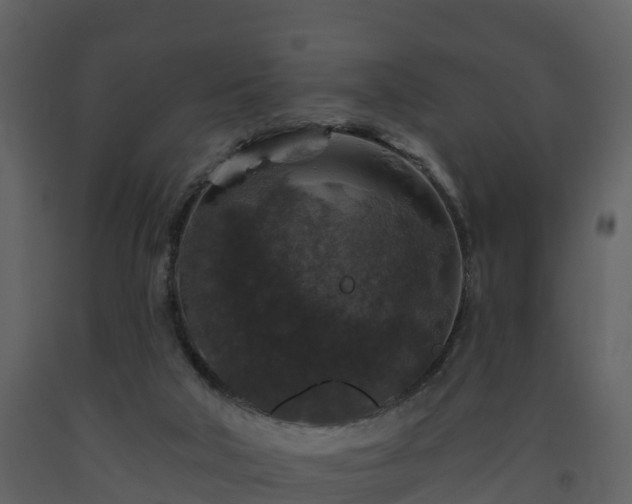 X0000093450018200710191113