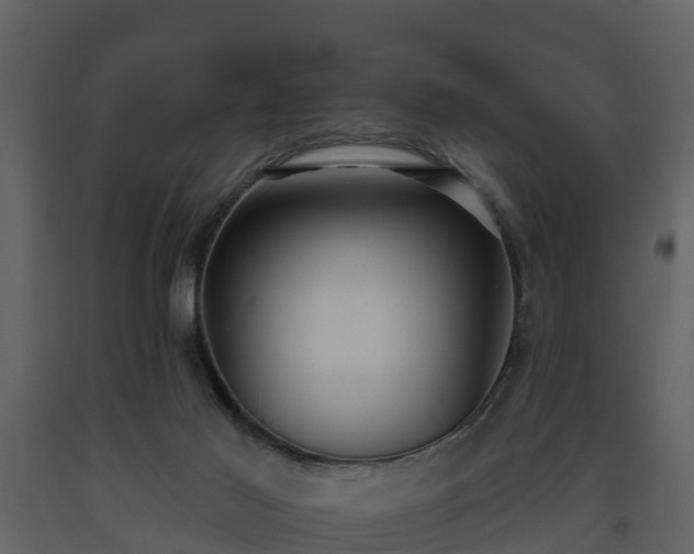 X0000093450021200710191113