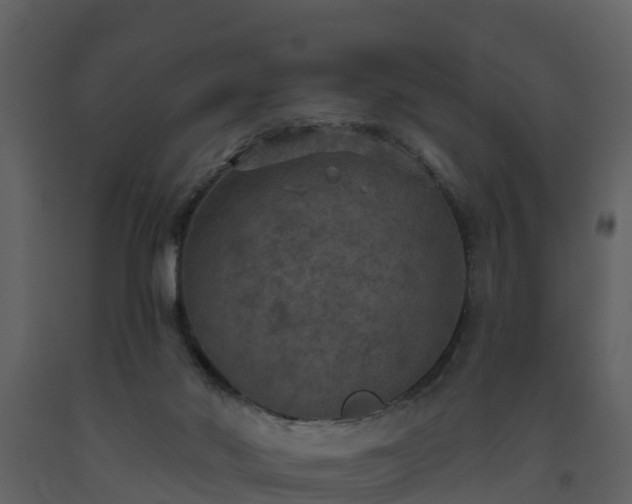 X0000093450022200710191113