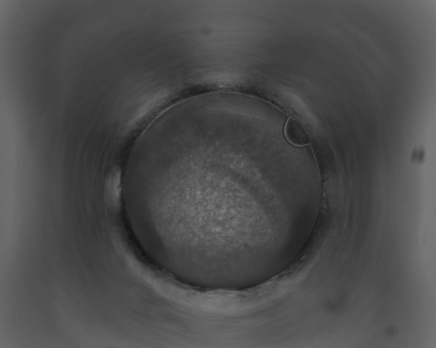 X0000093450024200710191113