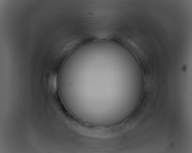 X0000093450028200710191113