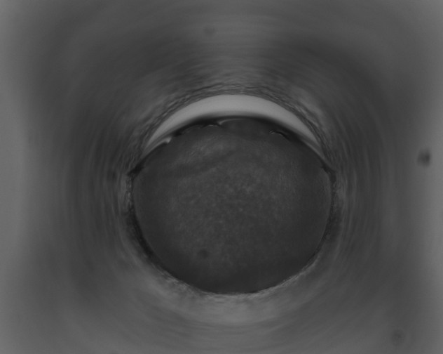 X0000093450029200710191113