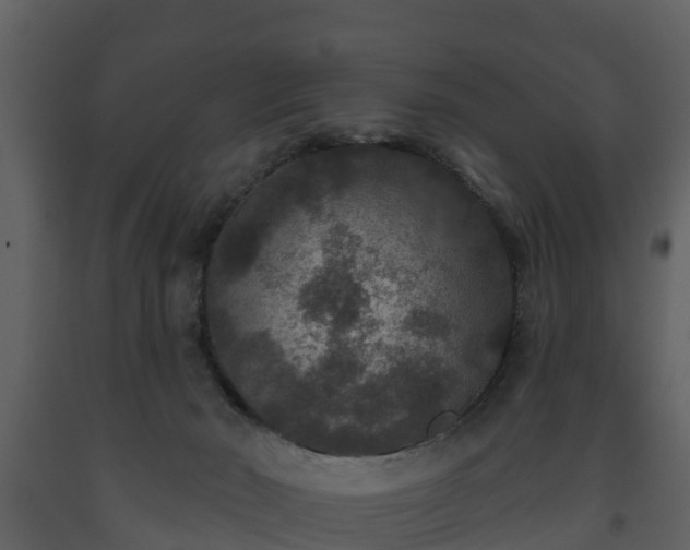 X0000093450030200710191113