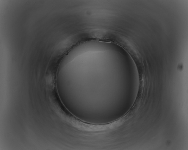 X0000093450031200710191113