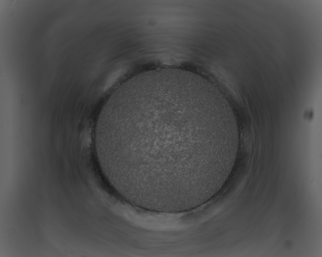 X0000093450032200710191113