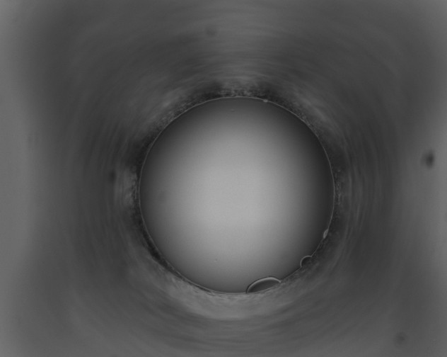 X0000093450038200710191113