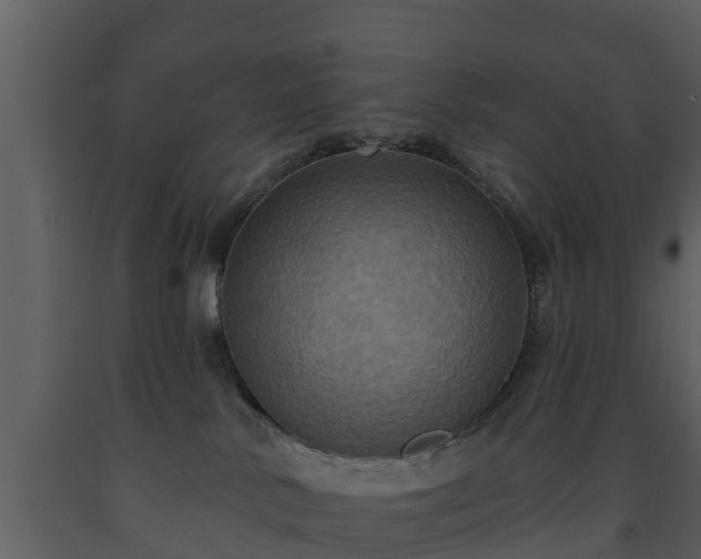 X0000093450042200710191112