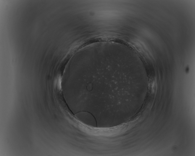 X0000093450046200710191112