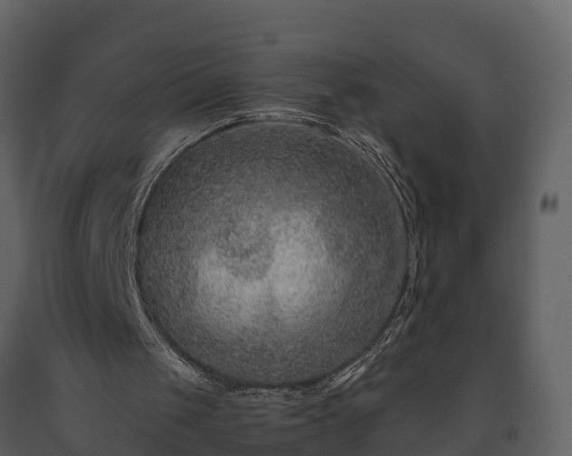 X0000093450049200710191112