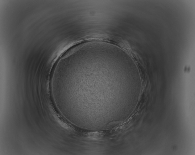 X0000093450050200710191112