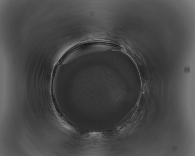 X0000093450052200710191112