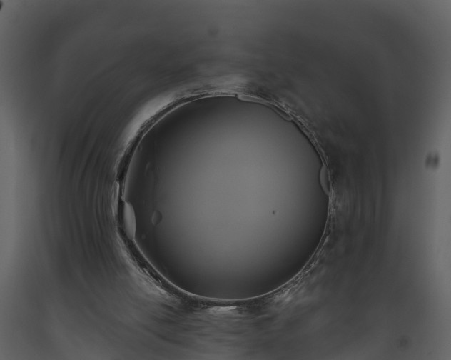 X0000093450054200710191112