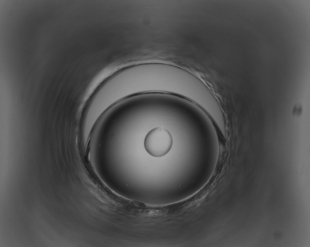 X0000093450056200710191112