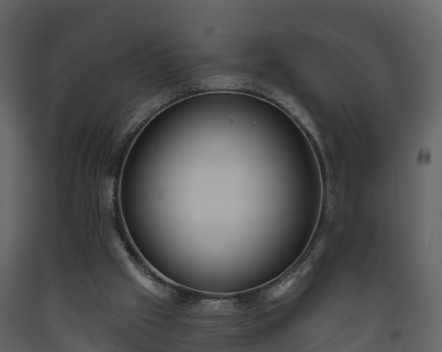 X0000093450057200710191112