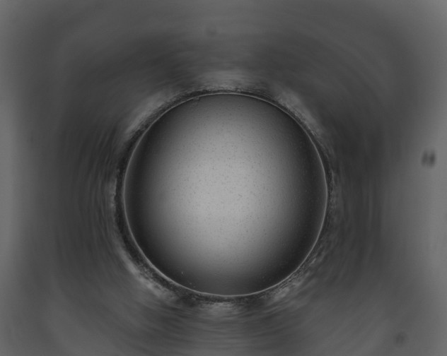 X0000093450058200710191112