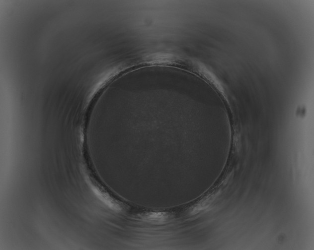 X0000093450059200710191112