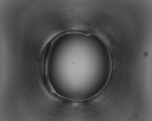 X0000093450060200710191112