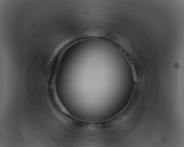 X0000093450064200710191112