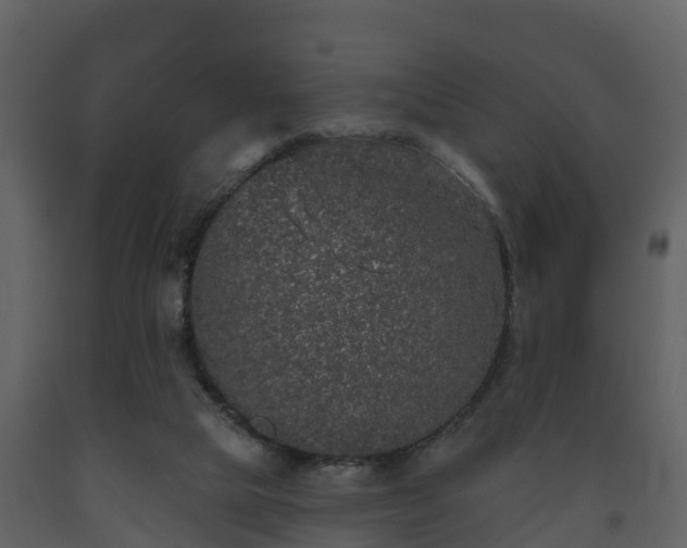 X0000093450065200710191112