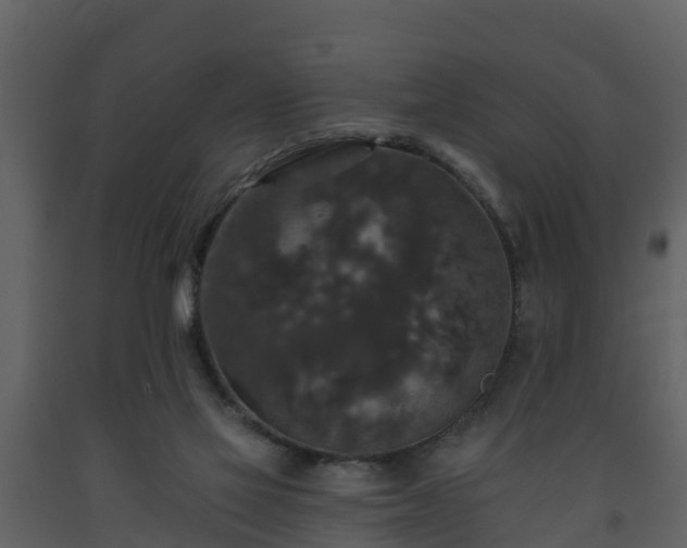 X0000093450069200710191112