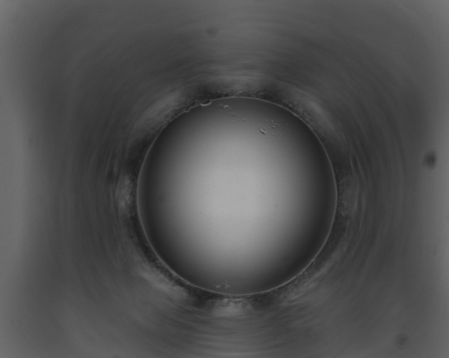 X0000093450077200710191112