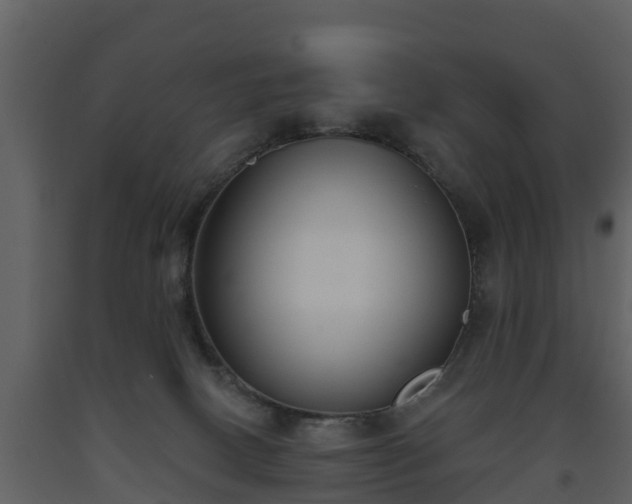 X0000093450082200710191112