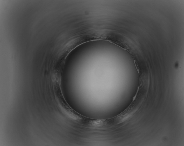 X0000093450092200710191112