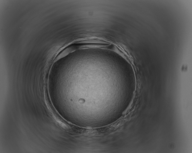 X0000093450097200710191112