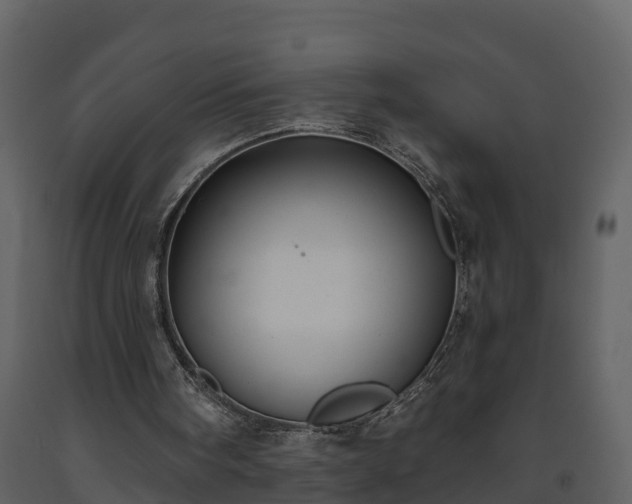 X0000093450098200710191112