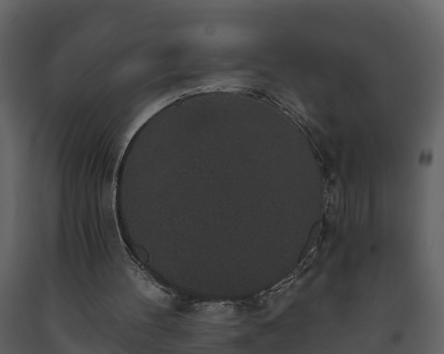 X0000093450100200710191112