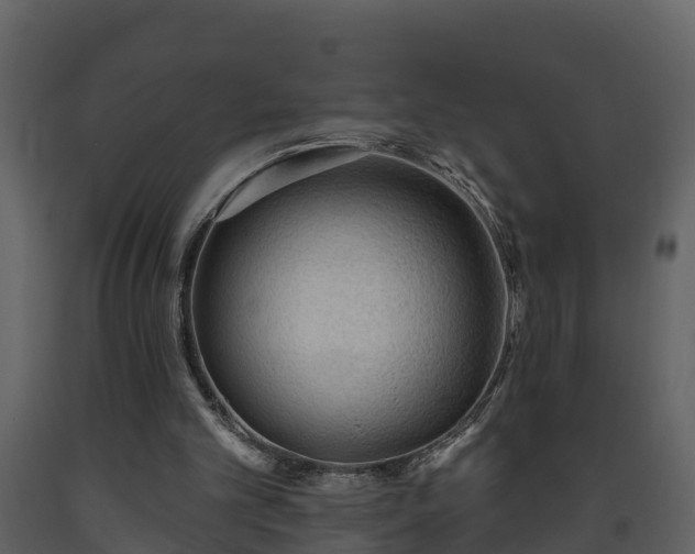 X0000093450101200710191112