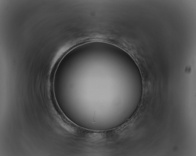 X0000093450102200710191112