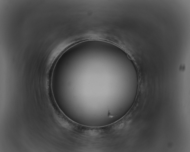 X0000093450103200710191112