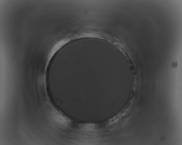 X0000093450104200710191112