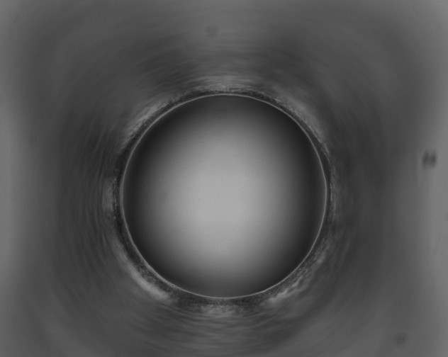 X0000093450105200710191112