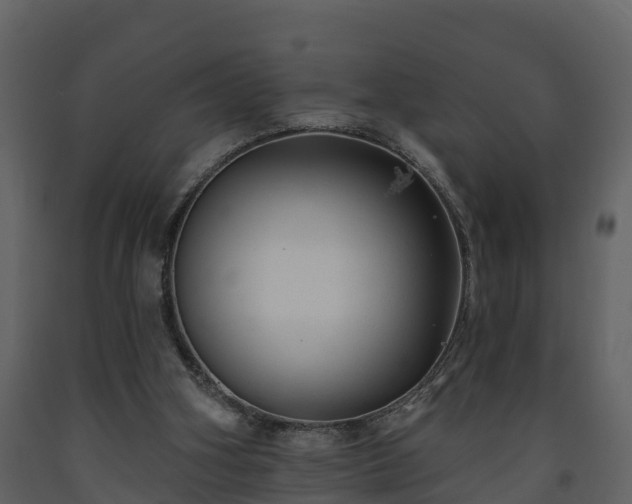 X0000093450106200710191112