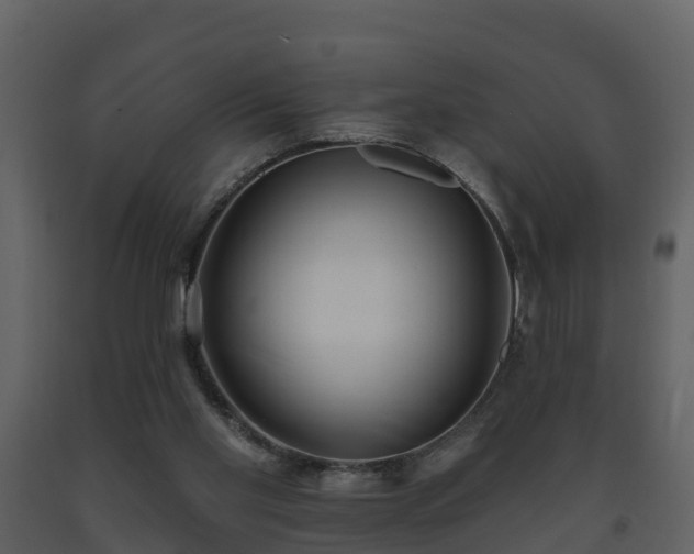 X0000093450109200710191111