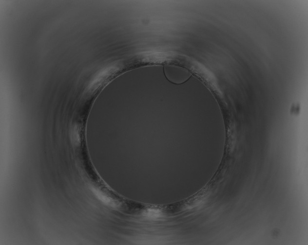 X0000093450114200710191111