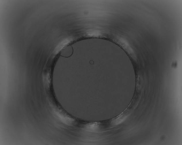 X0000093450116200710191111