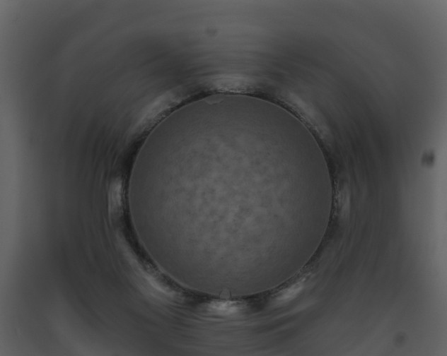 X0000093450117200710191111