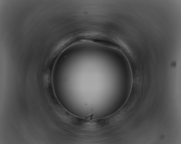 X0000093450119200710191111