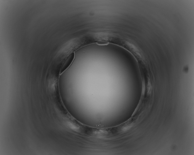 X0000093450125200710191111