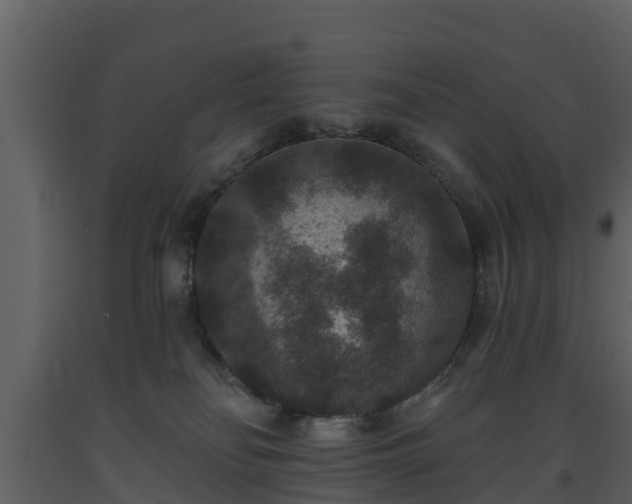 X0000093450134200710191111