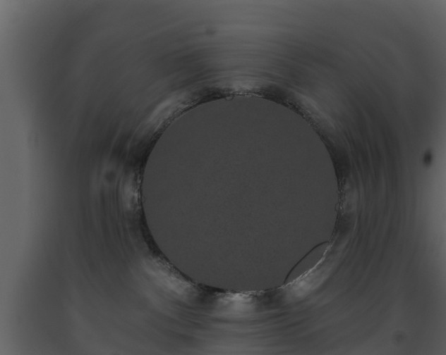 X0000093450140200710191111