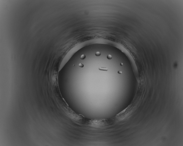 X0000093450141200710191111