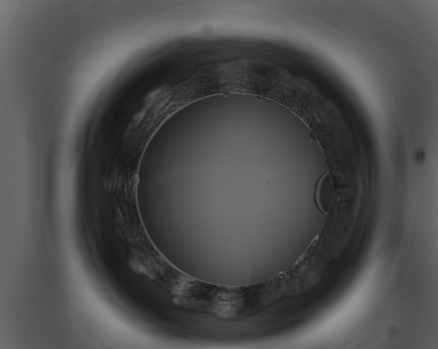 X0000093450143200710191111