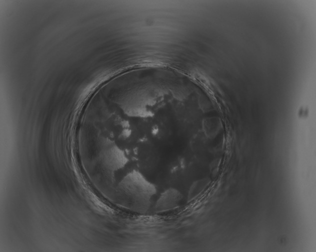 X0000093450145200710191110