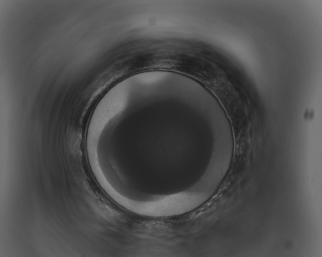 X0000093450146200710191110