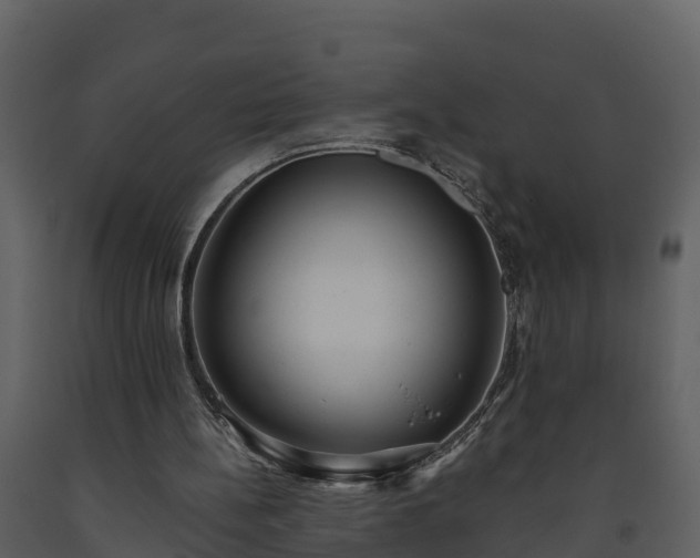 X0000093450148200710191110