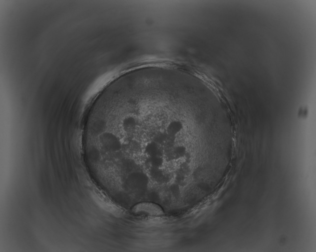 X0000093450149200710191110